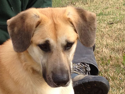 Hi, Hanging out with my Peeps