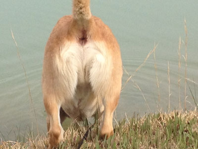 Maybe a swim - Or NOT! its wet!